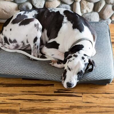 Pet Bed